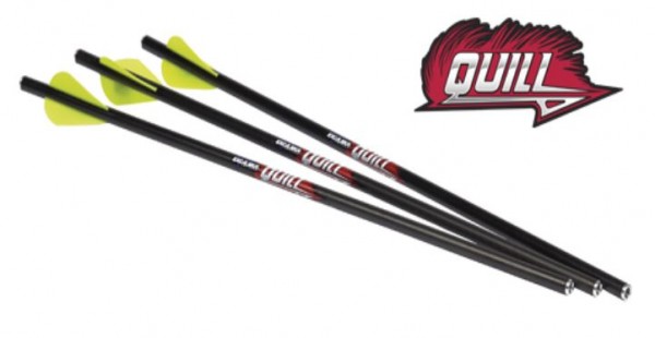 Excalibur Quill 16,5" Carbonpfeil